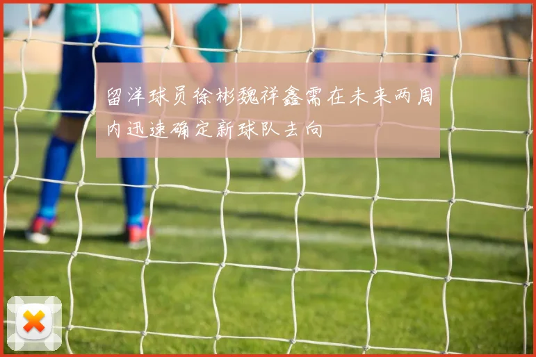 留洋球员徐彬魏祥鑫需在未来两周内迅速确定新球队去向