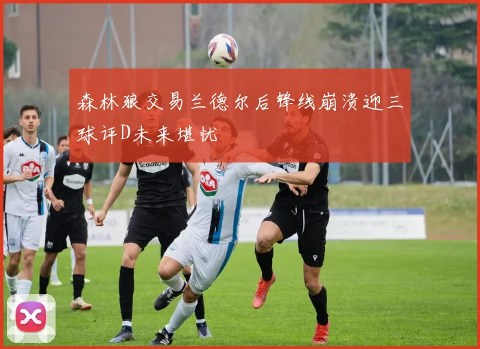 森林狼交易兰德尔后锋线崩溃迎三球评D未来堪忧