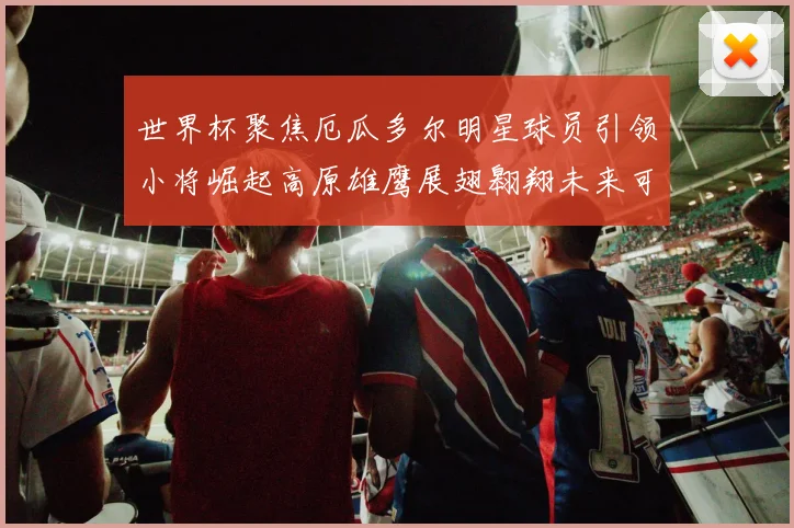 世界杯聚焦厄瓜多尔明星球员引领小将崛起高原雄鹰展翅翱翔未来可期